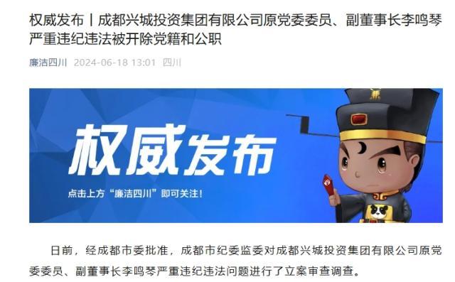 开云娱乐app安全登录-官方：兴城副董事长严重违纪违法 开除党籍和公职